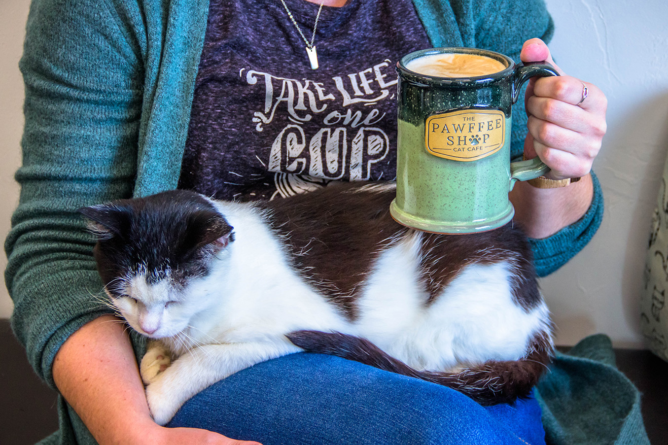 Pawffee Shop: A Meowvelous Retreat in Appleton - Sunset Hill Stoneware